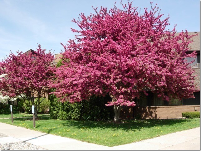 More Photos Of 4125 Okemos Rd, Okemos Office For Sale