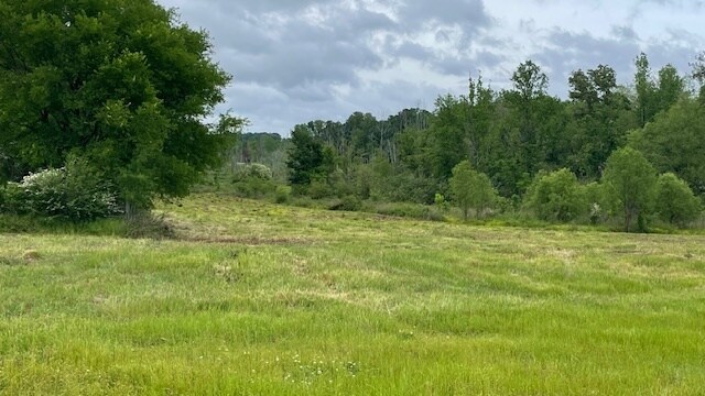 More Photos Of 2742 King Rd, Forest Land For Sale