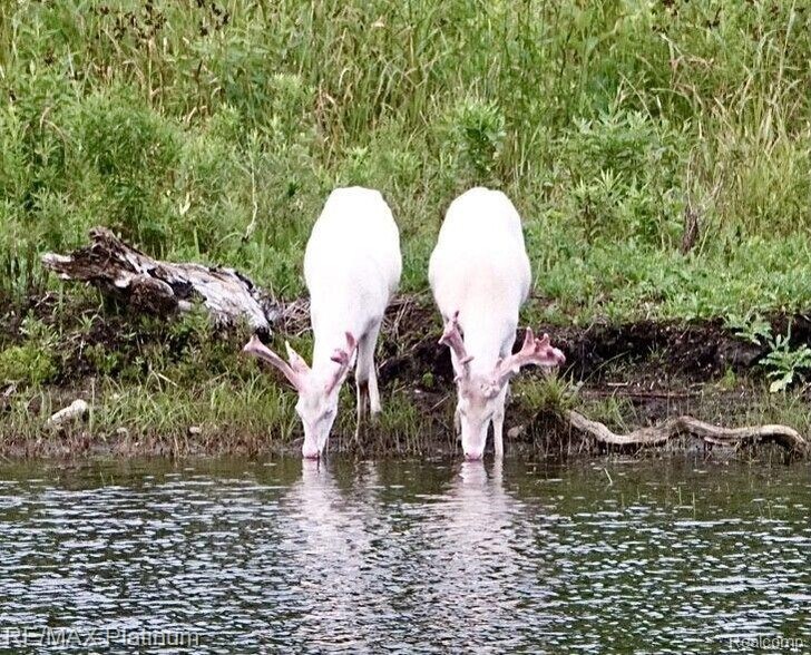 More Photos Of 1286 Gray Fox Ct, Howell Flex For Sale
