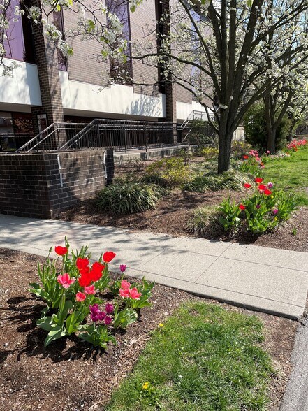 More Photos Of 30 Buxton Farm Rd, Stamford Medical For Lease