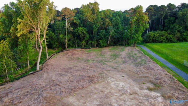 More Photos Of 10065 US Highway 431, Albertville Land For Sale
