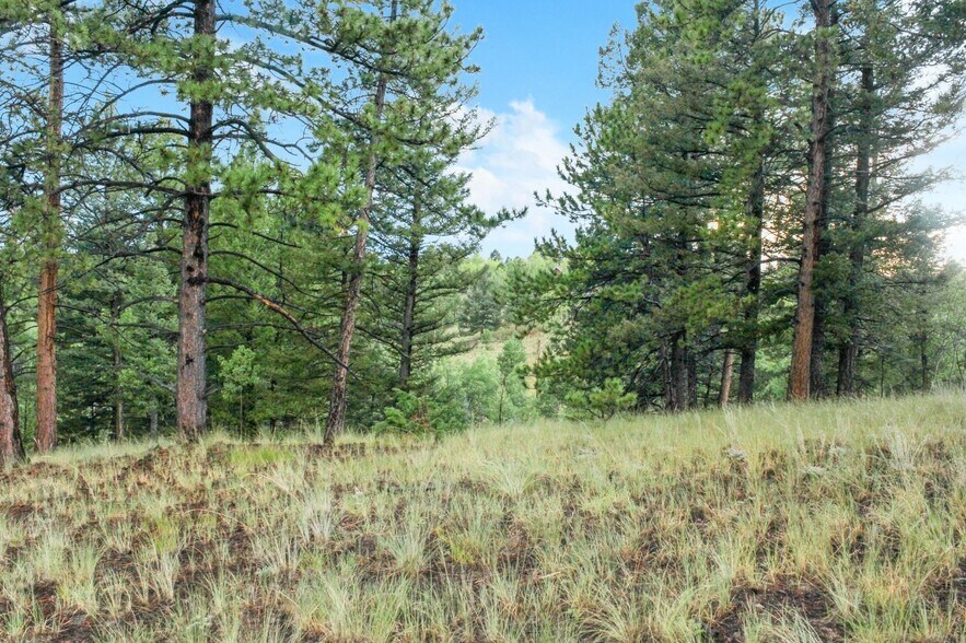 More Photos Of 131 & 67 Lost Lake Cir, Divide Land For Sale