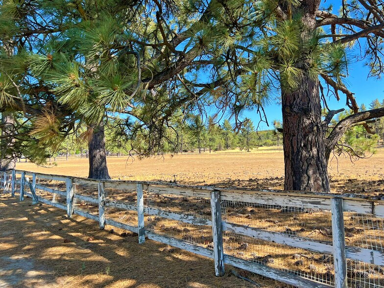 More Photos Of 61250 CA-74, Mountain Center Land For Sale