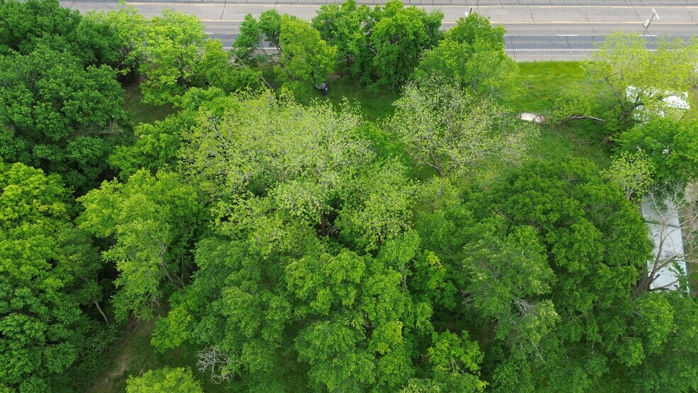 More Photos Of 477 State HWY 31, Trinidad Land For Sale