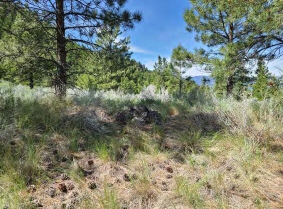 More Photos Of 1530 Willow Crescent, Merritt Land For Sale