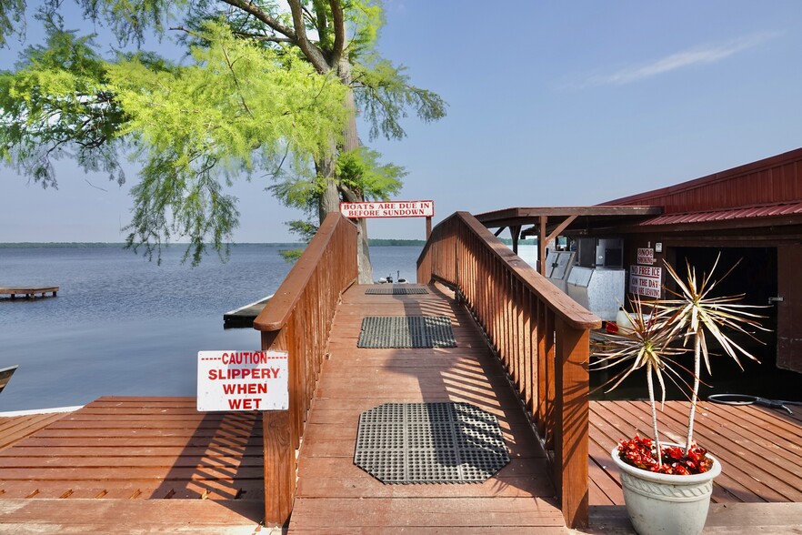 More Photos Of , Hornbeak Unknown For Sale