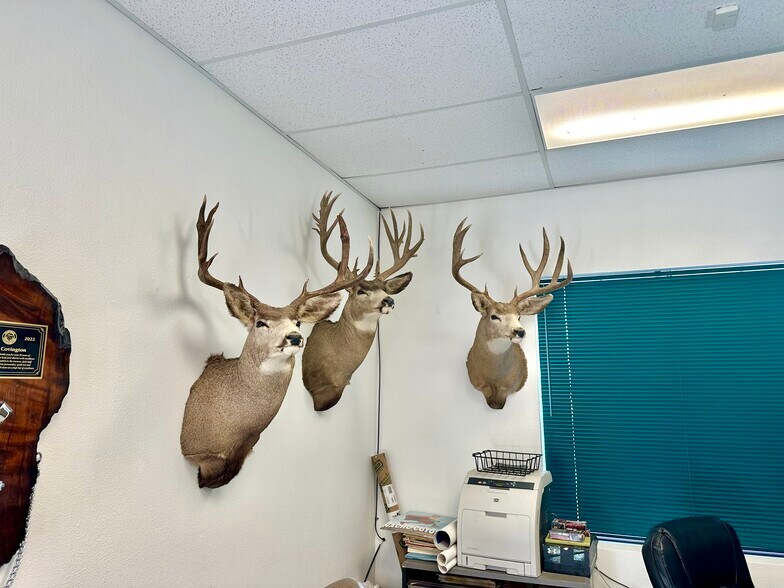 More Photos Of 1245 Alpha St, Ely Service For Sale