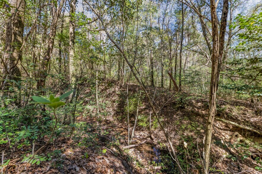 More Photos Of 7700 Iron Rush Rd, Wilmer Land For Sale