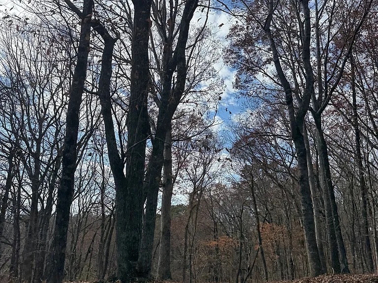 More Photos Of 6387 Bells Ferry Rd, Acworth Land For Sale