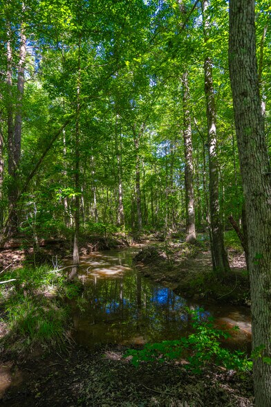 More Photos Of County Road 2592, Marietta Land For Sale