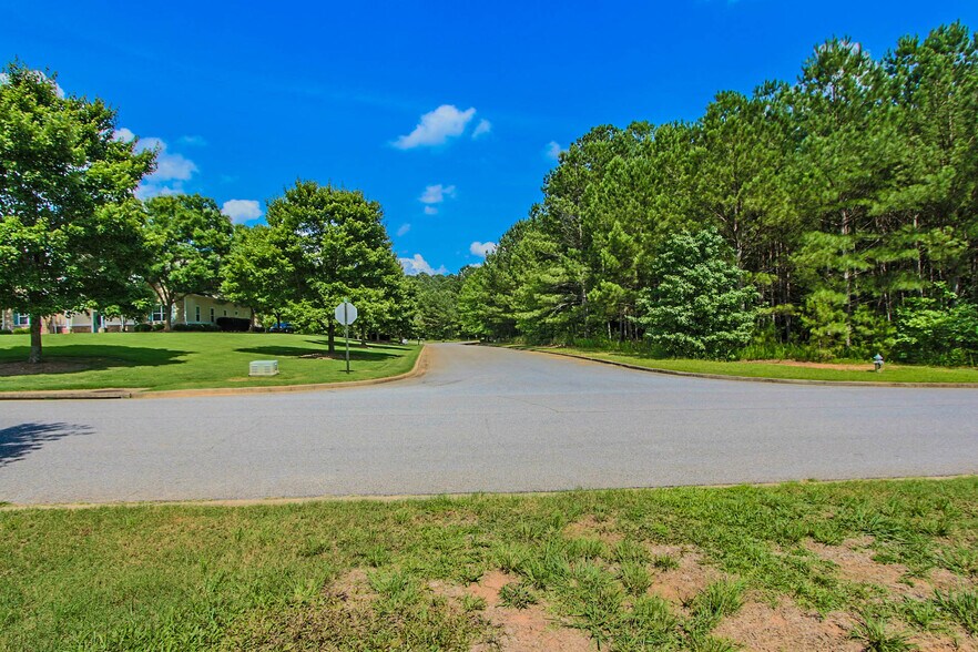 More Photos Of 180 Greencastle Rd, Tyrone Land For Sale