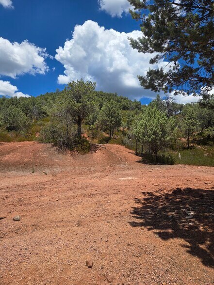 More Photos Of W Ruin Hill Loop, Pine Land For Sale