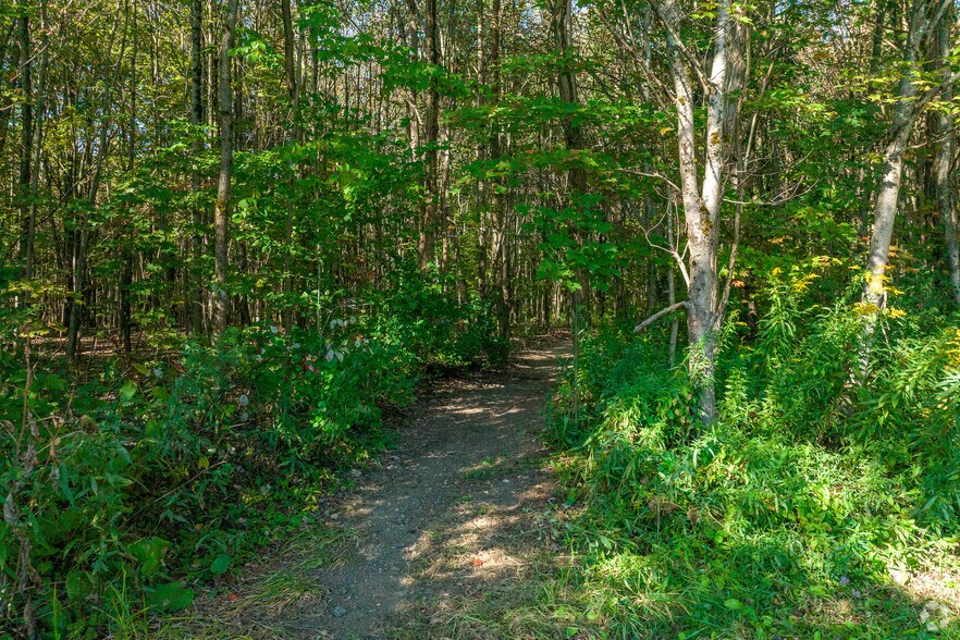 More Photos Of 6520 Mallory Rd, Marcy Land For Sale