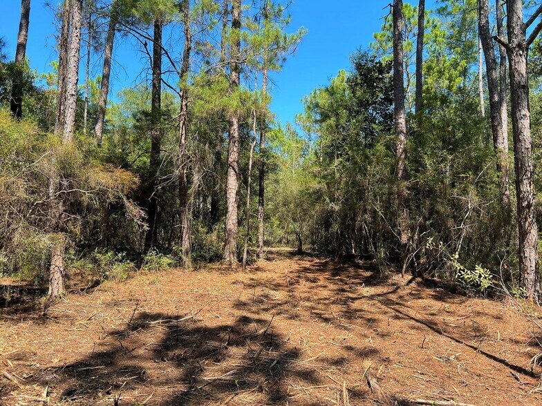 More Photos Of TBD Juniper Lake Road, Defuniak Springs Land For Sale