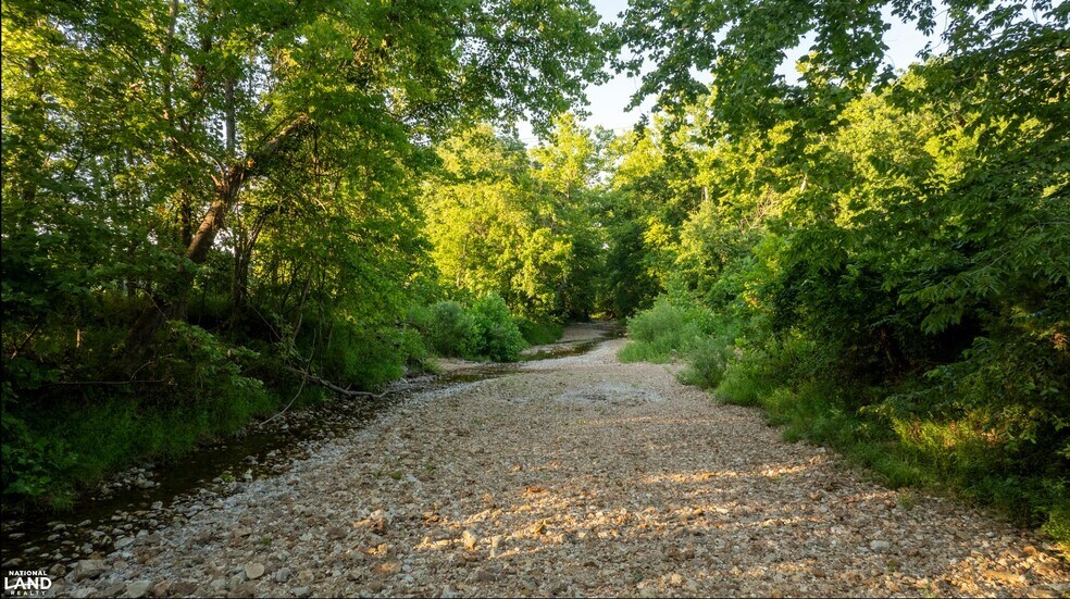 More Photos Of 178 Oak Creek Ln, Bland Land For Sale