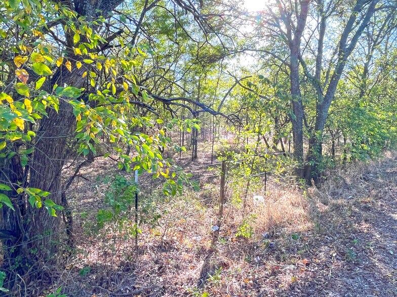 More Photos Of TBD HWY 289, Gunter Land For Sale