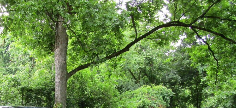 Primary Photo Of 117 Hunt St, Durham Land For Lease