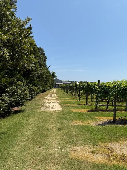 More Photos Of 221 N Delsea Dr, Cape May Court House Winery Vineyard For Sale