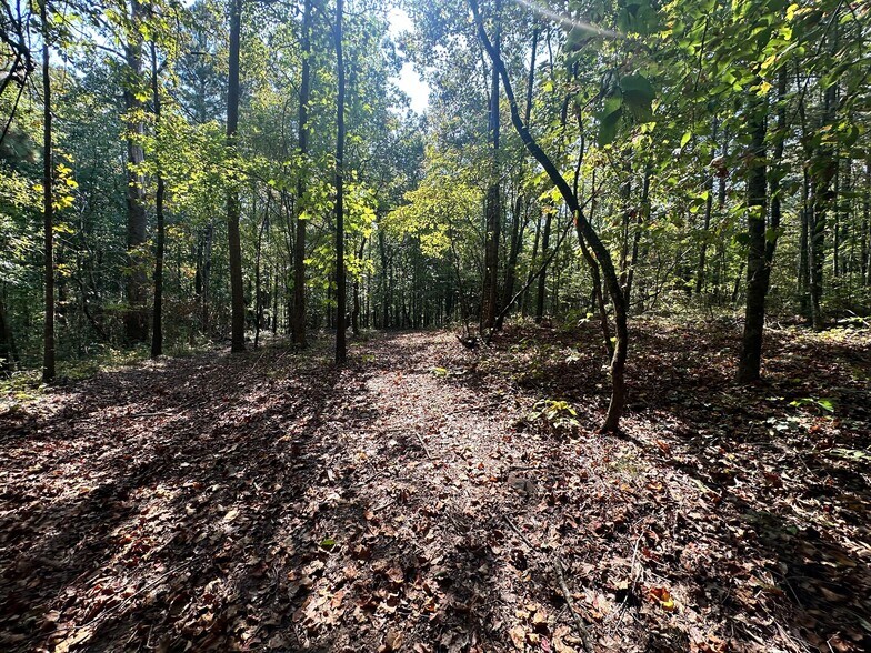More Photos Of 00 Frix Rd, Cumming Land For Sale