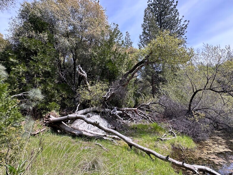 More Photos Of Hawk Haven Lane, Somerset Land For Sale