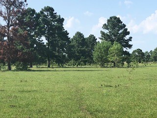 More Photos Of 7886 Fm 1960 Rd, Dayton Land For Sale