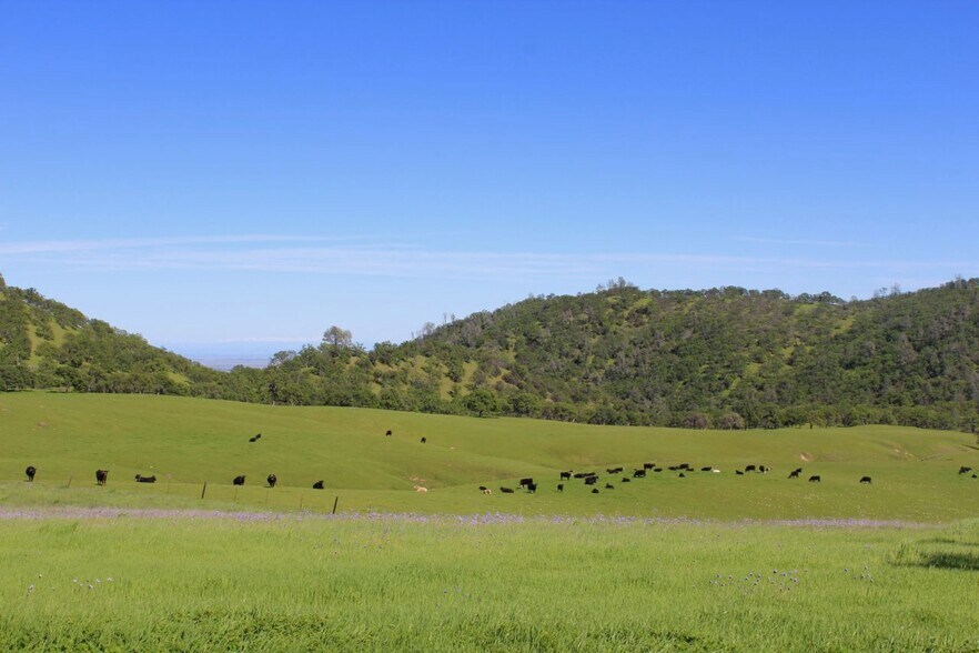 More Photos Of 20475-2047 County 57 rd, Guinda Land For Sale