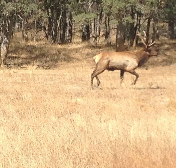 More Photos Of Campground Rd, Stonyford Land For Lease