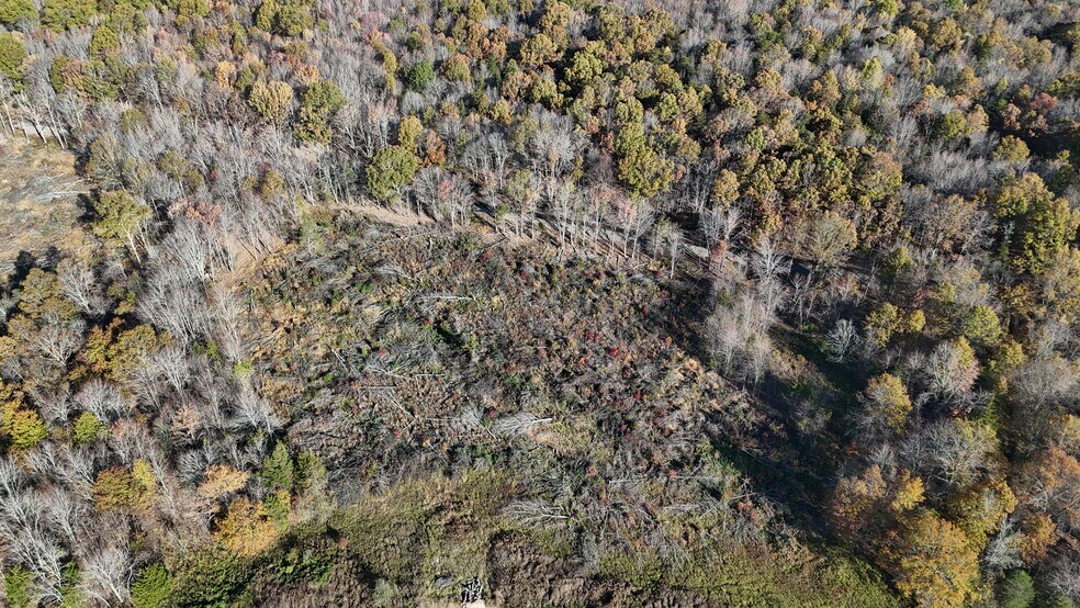 More Photos Of 0 Whiting Rd, Marshall Land For Sale