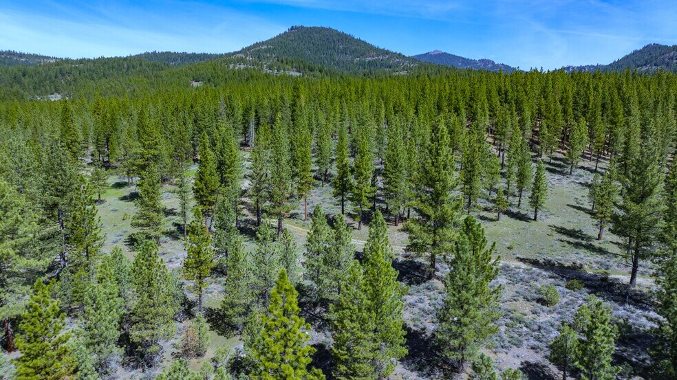 Primary Photo Of 73077 Highway 70, Portola Land For Sale