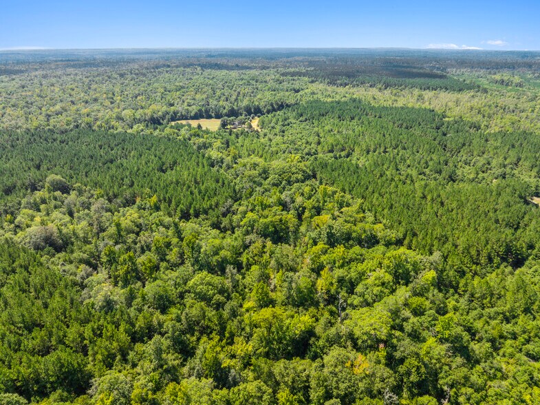 More Photos Of 7471 Highway 155, Saline Land For Sale