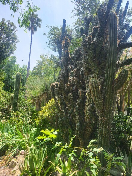More Photos Of 18552 Erwin St, Tarzana Land For Lease