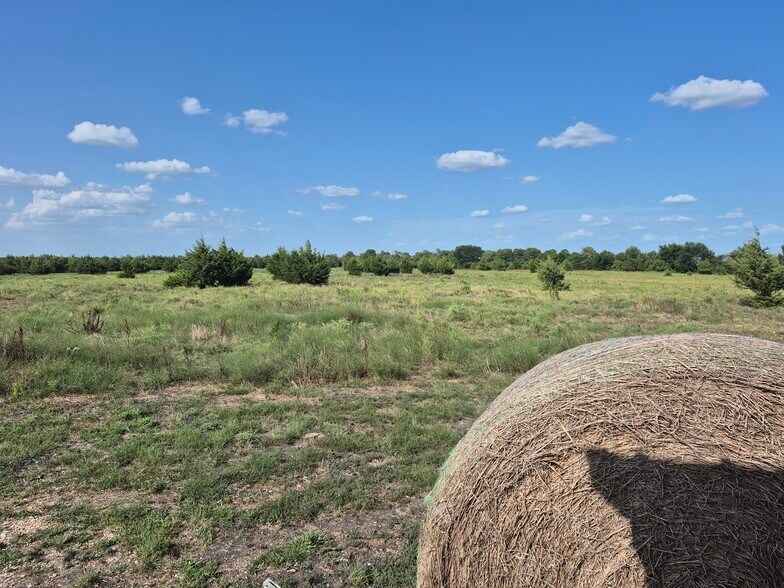 More Photos Of 9561 N TX-50 Hwy, Ladonia Land For Sale