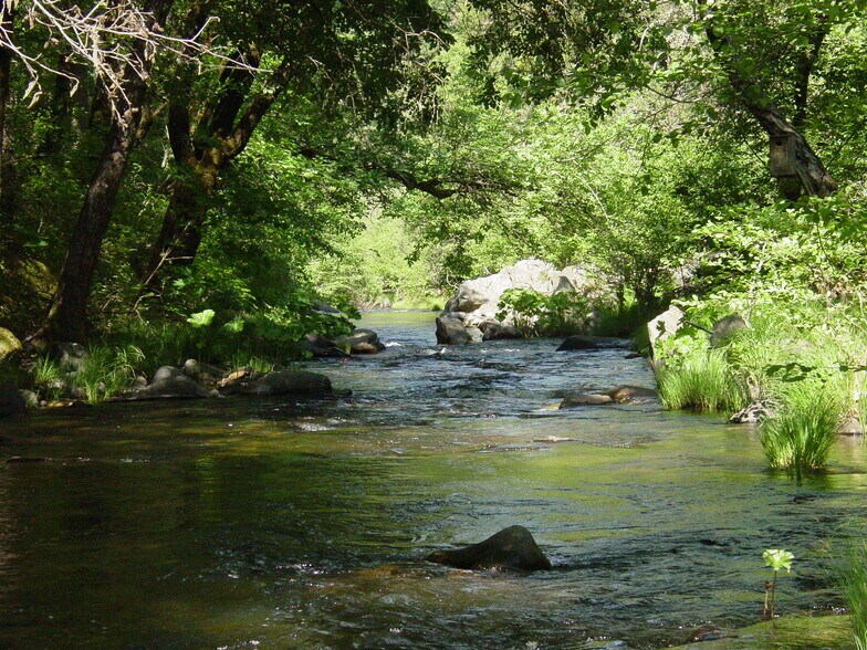 More Photos Of 2883 N Railroad Flat Rd, Wilseyville Land For Sale