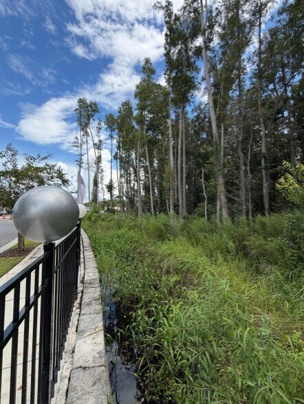 More Photos Of 0 Wesley Chapel Boulevard, Lutz Land For Sale