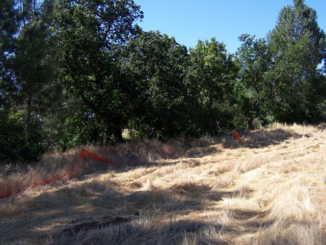More Photos Of 101 Sky Creek Ct, Chico Land For Sale