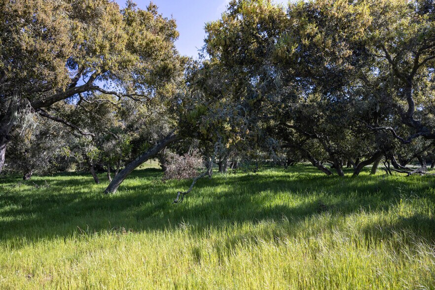 More Photos Of 7855 Old Careaga Ranch Rd, Santa Maria Land For Sale