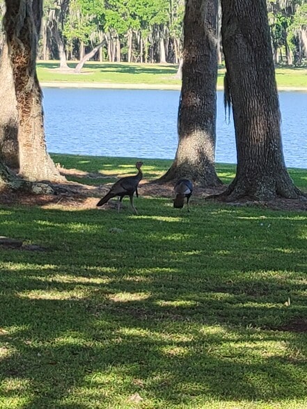 More Photos Of 15400 S US Highway 301, Summerfield Office For Sale