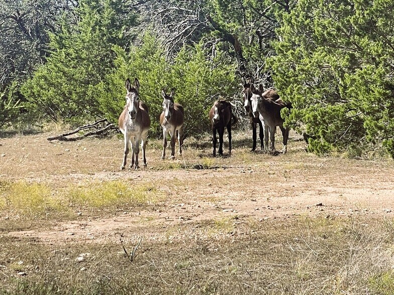 More Photos Of 1276 Farm to Market Road 574, Mullin Land For Sale