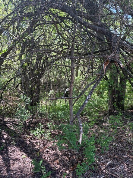 More Photos Of 1021 Rockport rd, Sherman Land For Sale