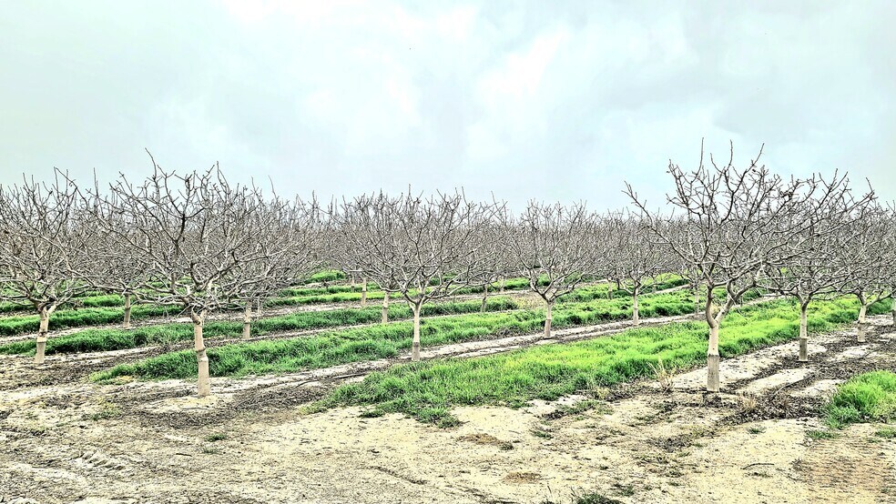 Primary Photo Of Hwy 65 @ Little Creek Rd, Bakersfield Land For Sale