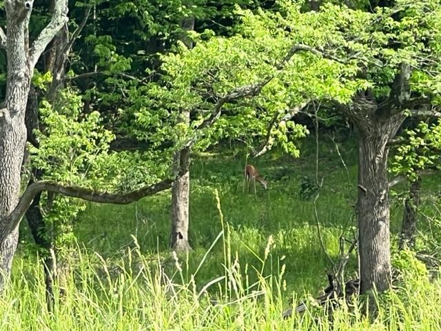 More Photos Of Harrison St / US HWY 69, Batesville Land For Sale