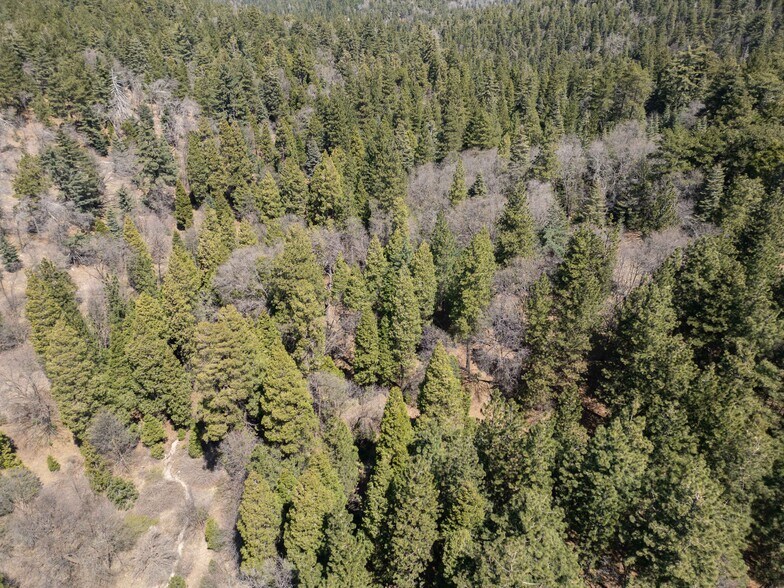 More Photos Of 26689 California 18, Rimforest Land For Sale