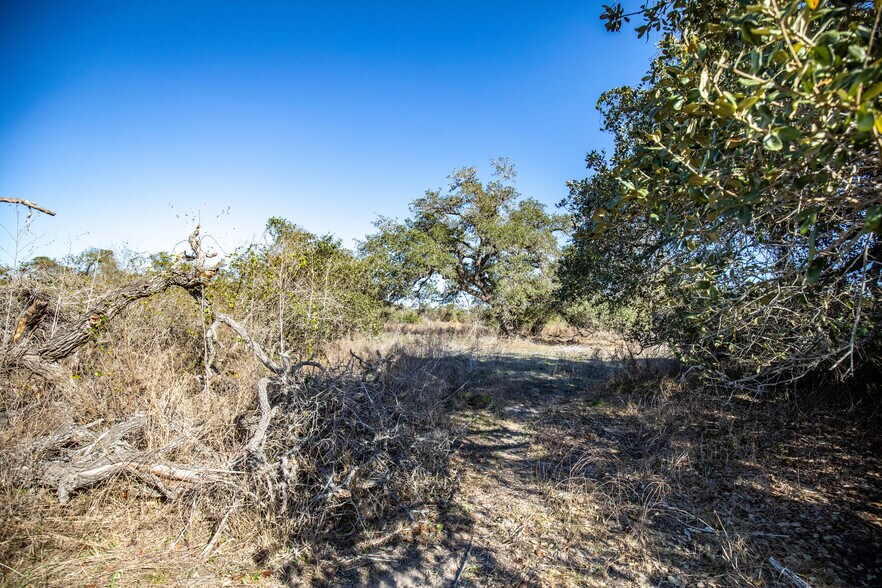 More Photos Of 6498 Highway 35 North, Rockport Land For Sale