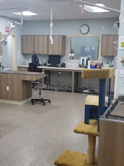 More Photos Of 16 Old Beacon Rd, Montesano Medical For Sale