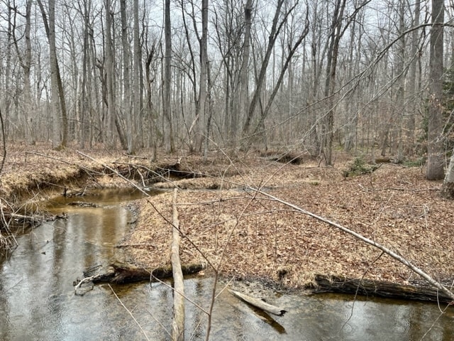 More Photos Of 7585 Mason Springs Rd, La Plata Land For Sale