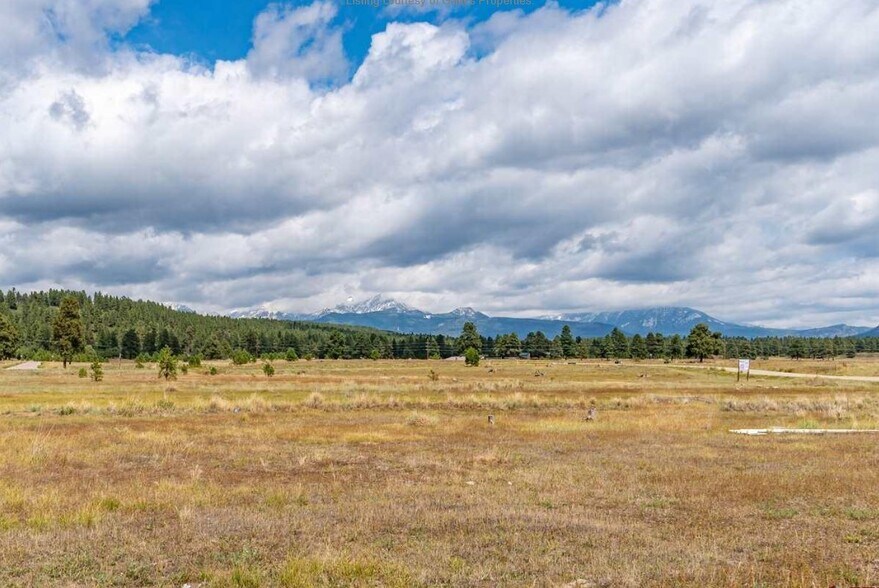 More Photos Of 250 Pagosa St, Pagosa Springs Research And Development For Sale