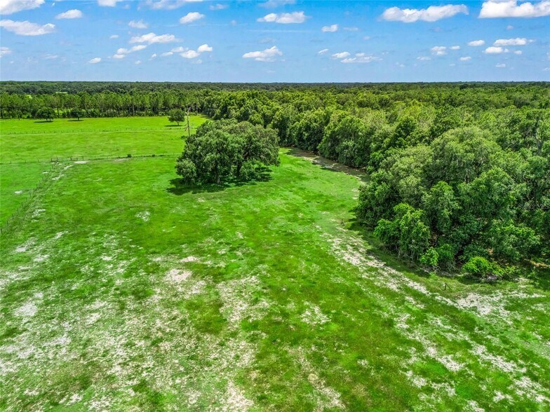 More Photos Of CR 738, Webster Land For Sale