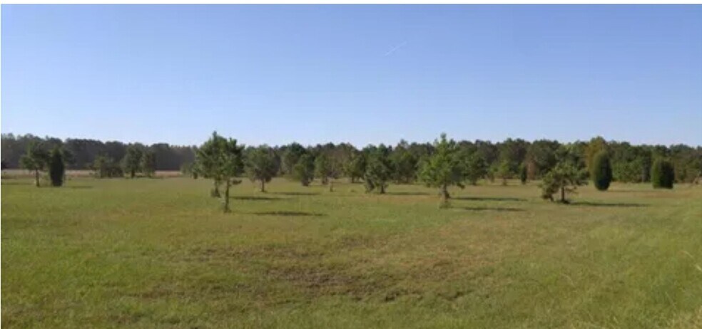 More Photos Of 577 Hoff Rd, Belhaven Land For Sale