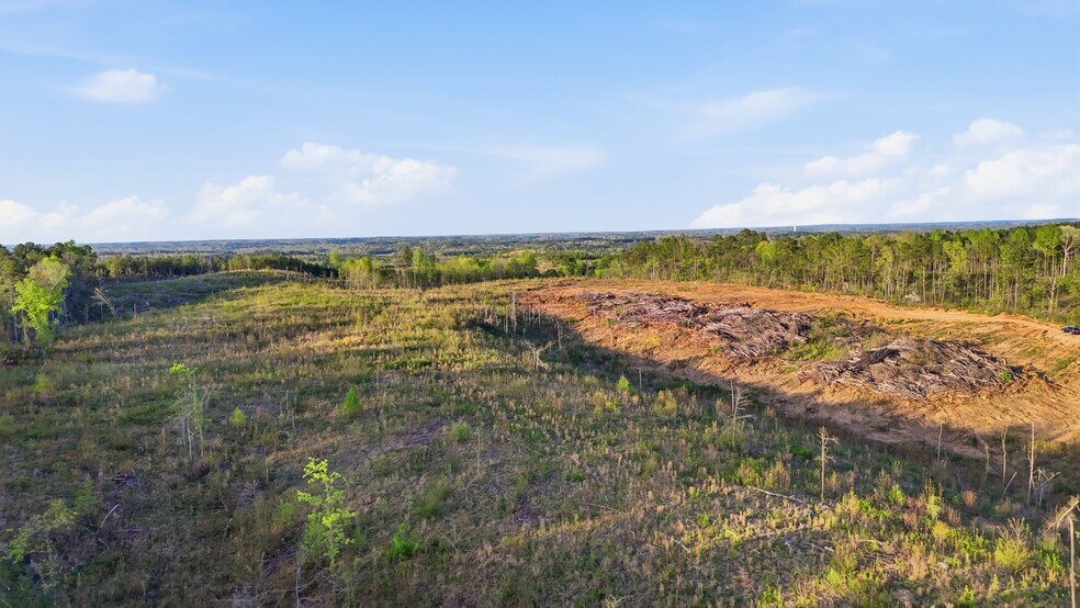 More Photos Of 0 Highway 269, Parrish Land For Sale