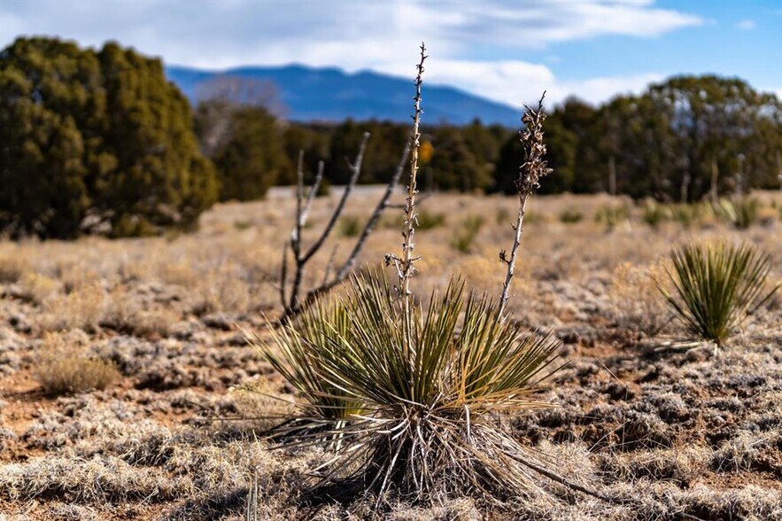 More Photos Of 0 Camino La Tierra, Santa Fe Land For Sale